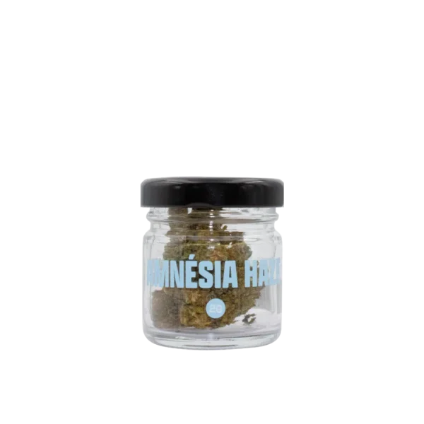 SMOOTH COMPANY - Amnésia Haze