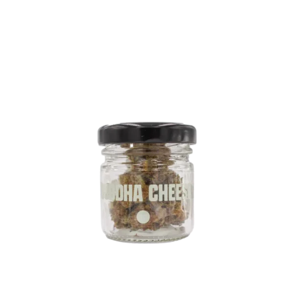 SMOOTH COMPANY - Buddha Cheese