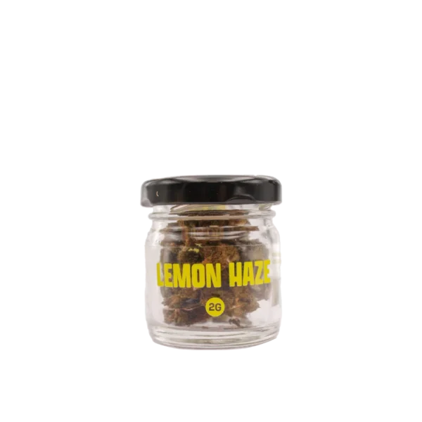 SMOOTH COMPANY - Lemon Haze