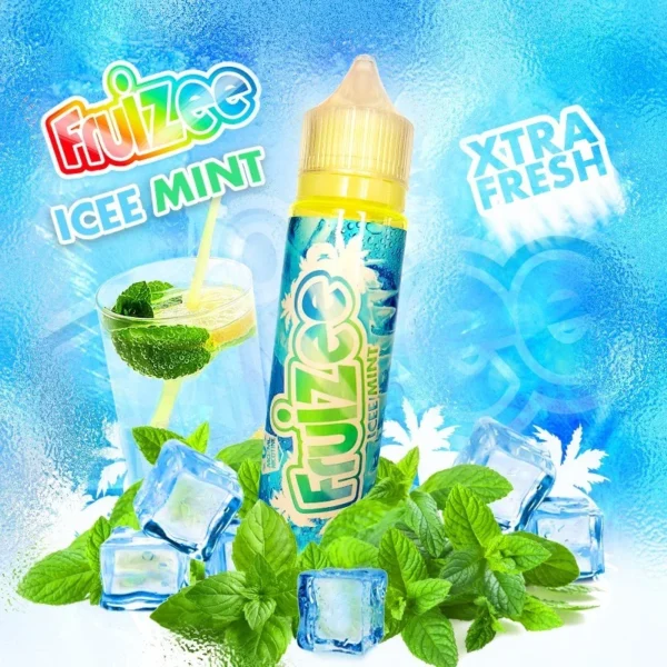 Fruizee icee Mint - 50ml